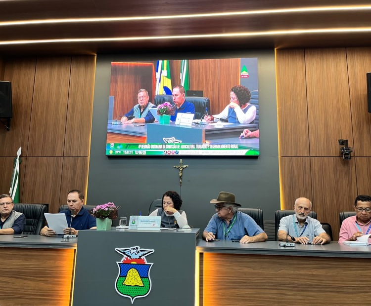Comissão de Agricultura discute ações e investimentos para pequenos produtores